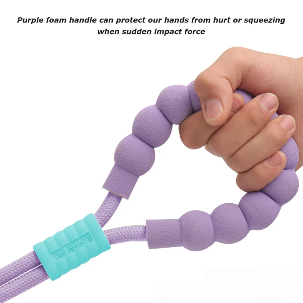 Nylon dog leash with anti-slip foam handle in choice of four colours.