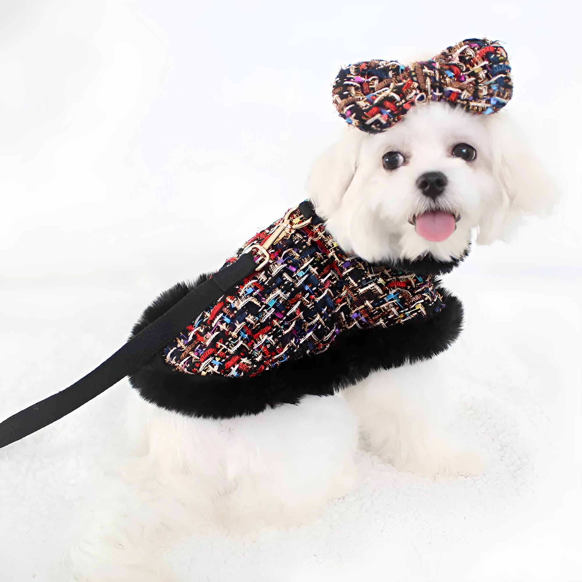 A dog wearing a classic cloth cloak attached to a chest strap with a hand holding rope
