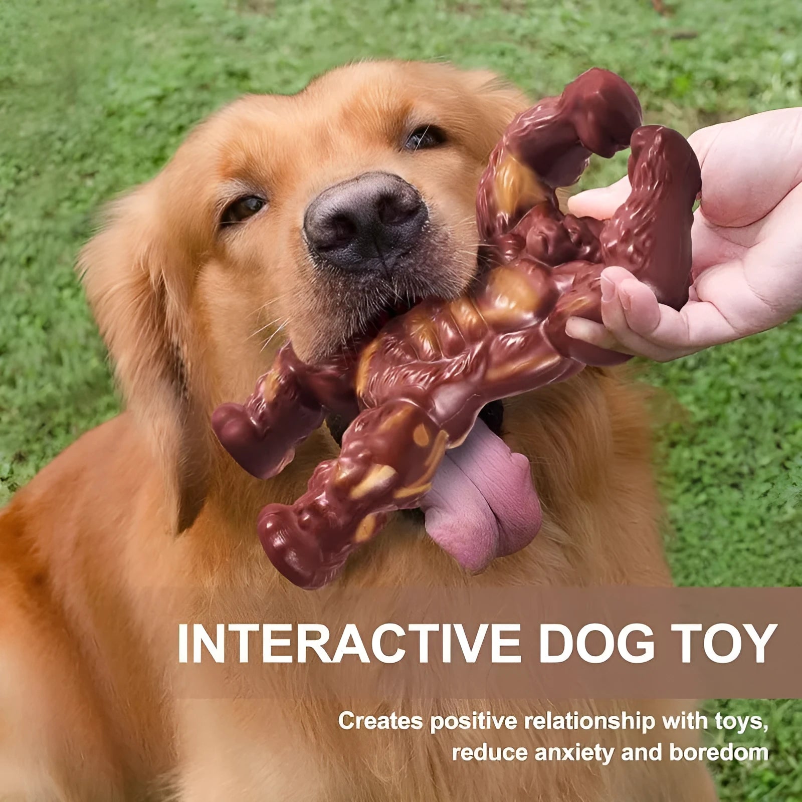 Scarlet red beef-flavoured nylon dog chew toy for molar cleaning and dental exercise