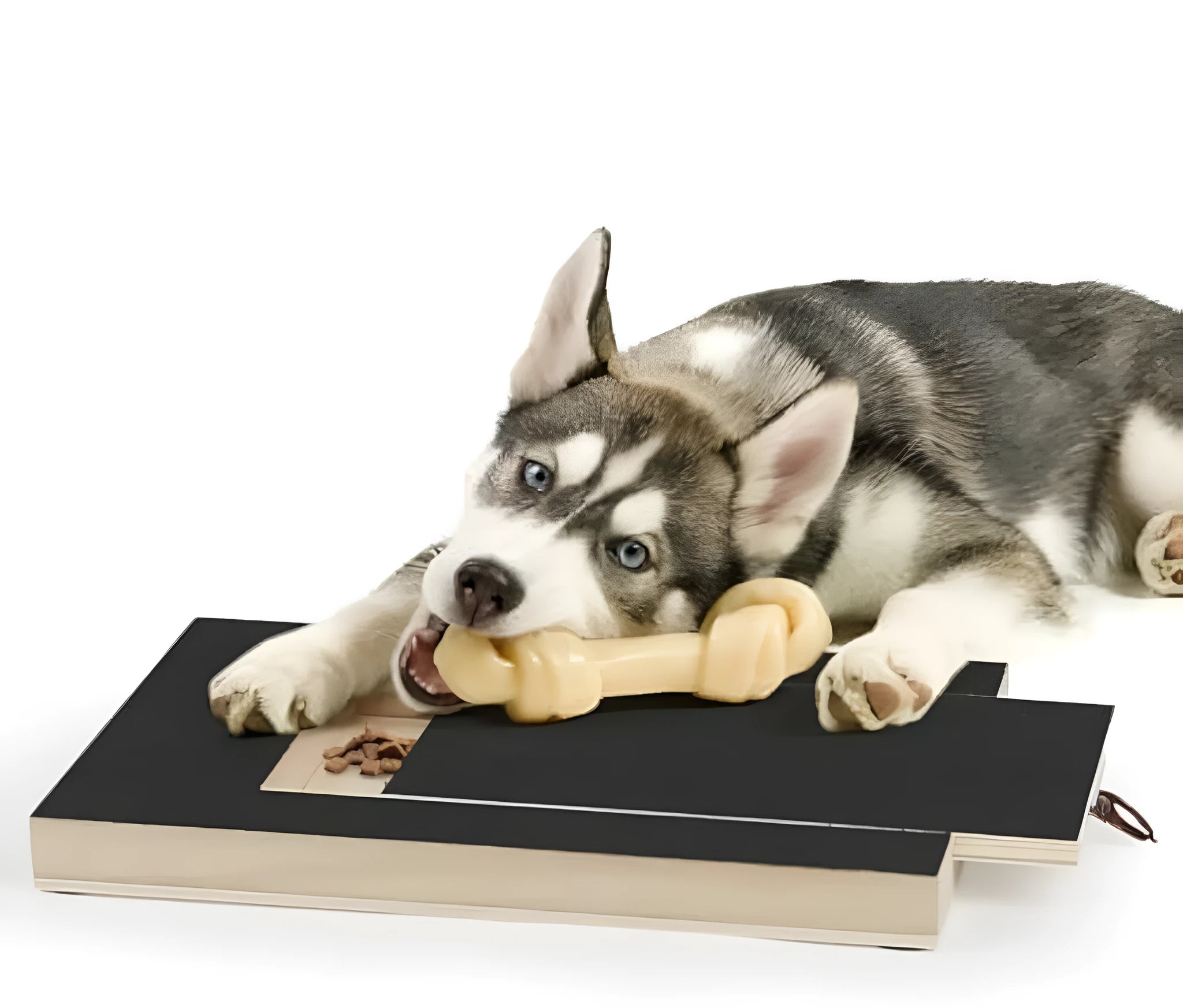 Wooden dog nail scratch board with treat drawer and non-slip base pads