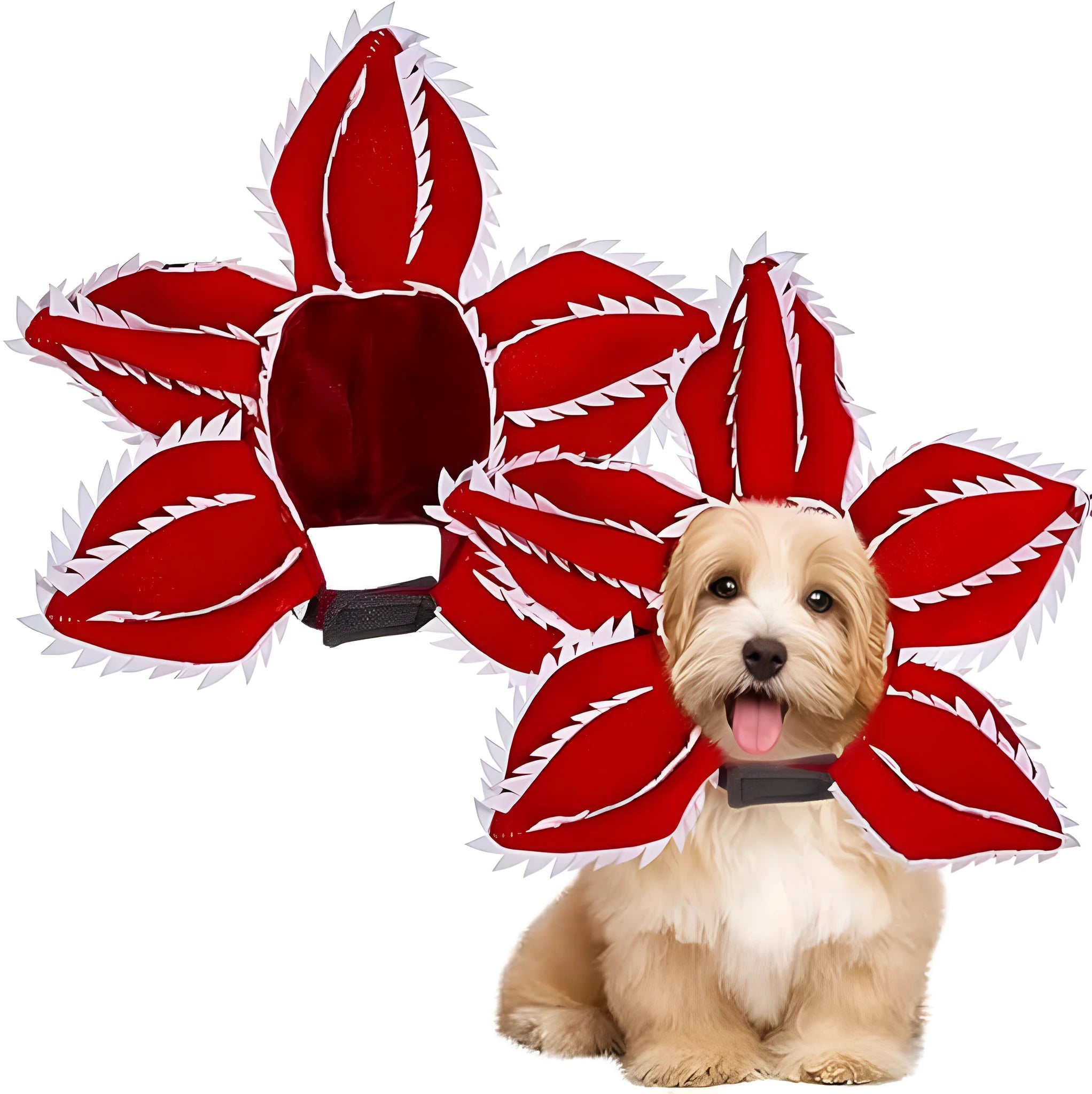 Chomper dog Halloween costume with scary demon teeth and purple flower headband on a medium-sized dog