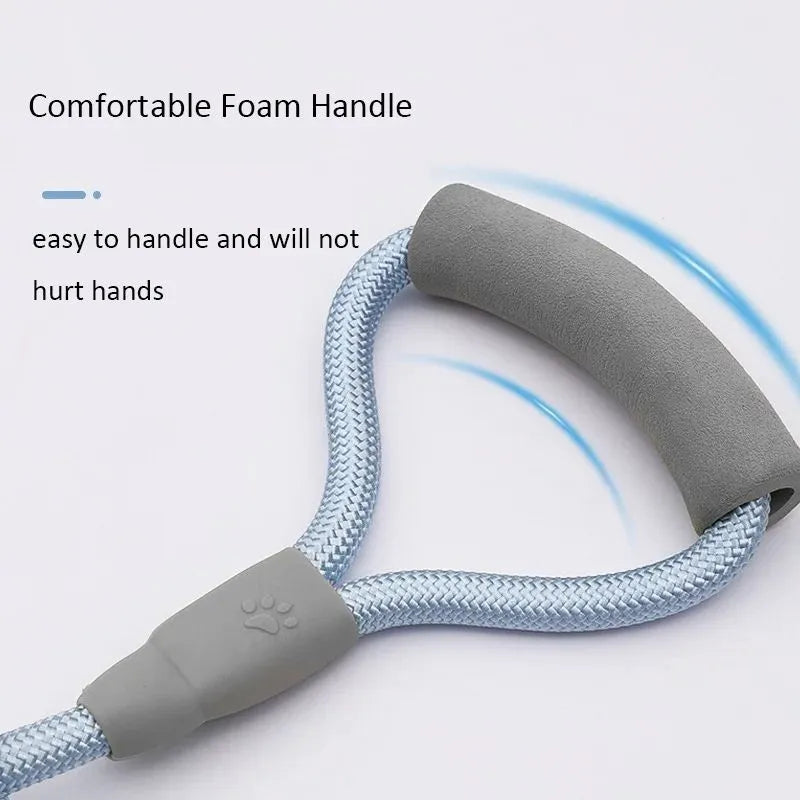 Double dog leash for two dogs with foam handle and metal buckles in blue colour