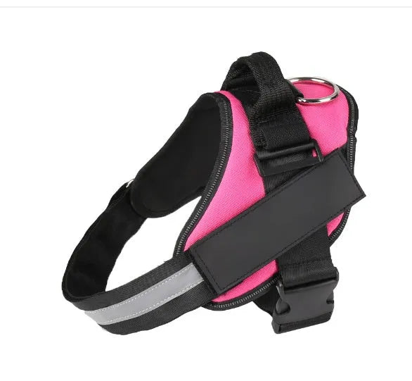 Adjustable dog harness with mesh padded vest on medium-sized dog