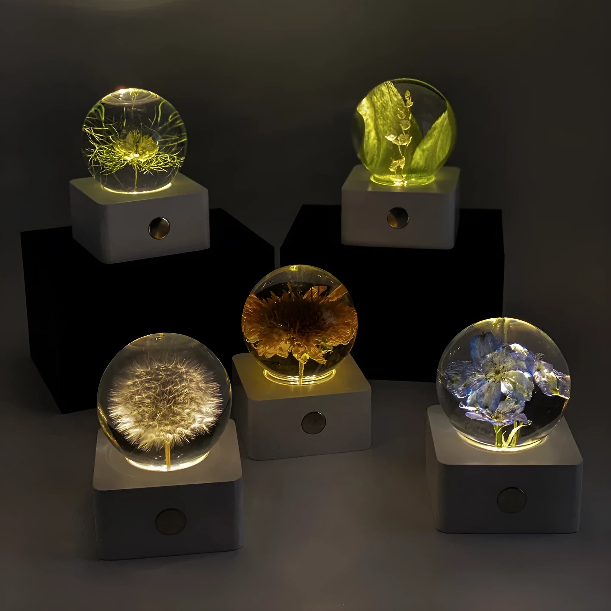 Small 8cm clear night light with a preserved dandelion and sunflower inside, lit with a warm glow.