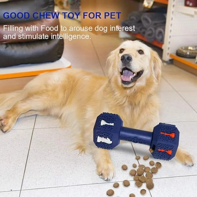 Blue rubber dumbbell dog chew toy with textured surface and hollow ends for treats.