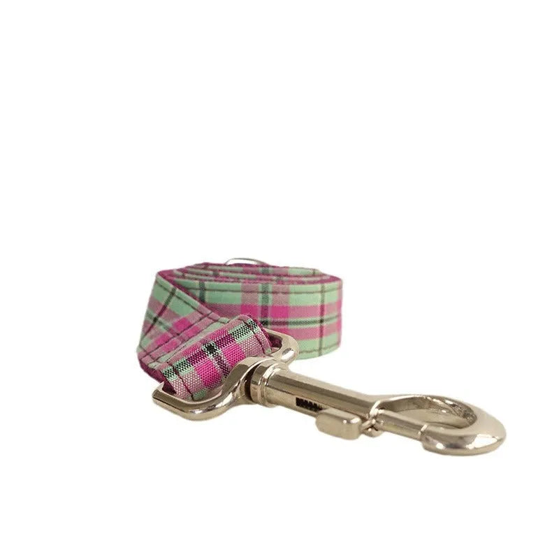 Mint zigezi polyester dog collar and leash set showing tear-resistant construction and adjustable design
