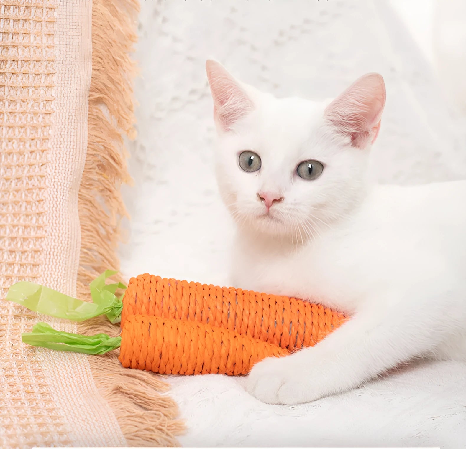 Set of interactive cat toys including carrot bites, paper toys with stones, and grinding sticks in S and L sizes
