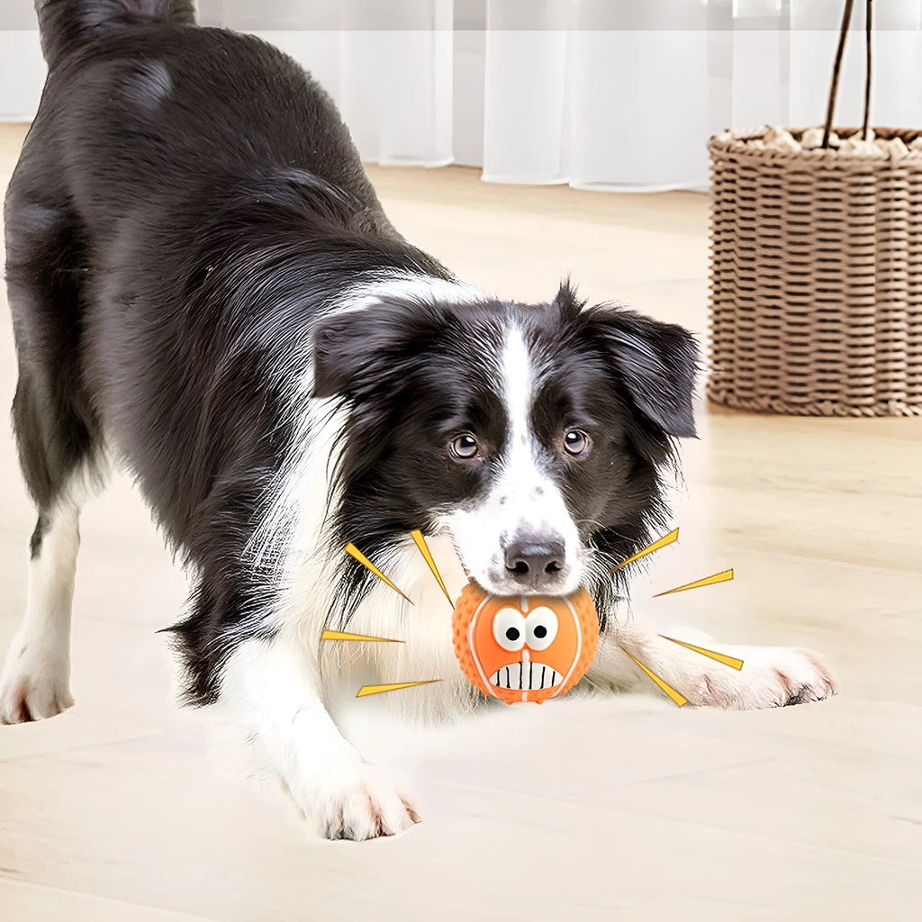 Latex face ball dog toy in green orange yellow colours with smiley design