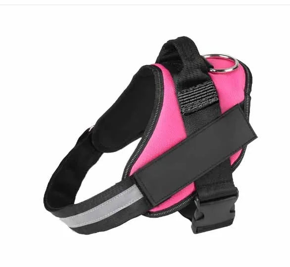 Adjustable dog harness with mesh padded vest on medium-sized dog