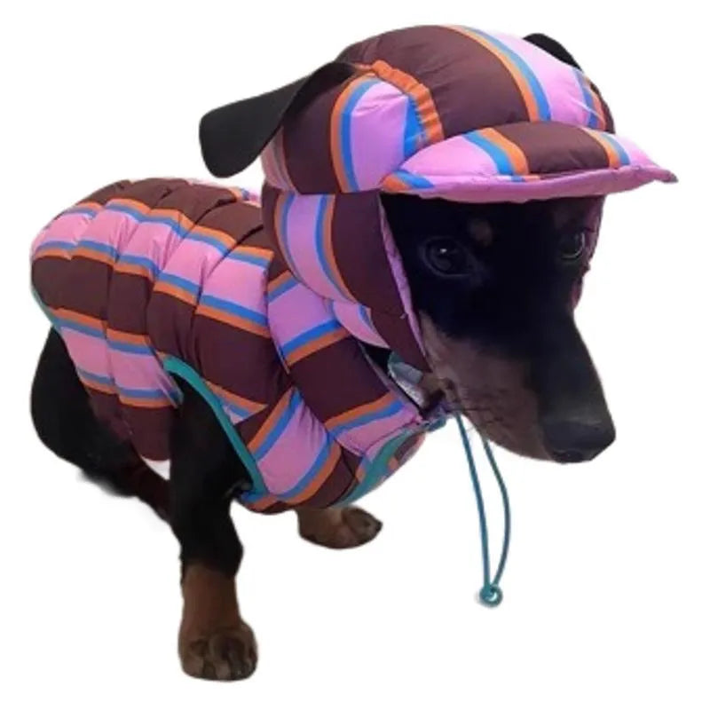 Dirty pink striped dog vest and matching hat set for autumn and winter wear
