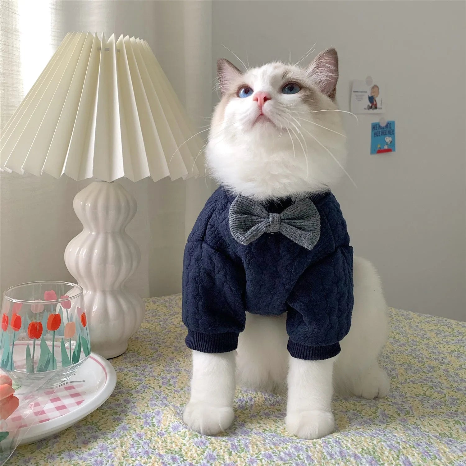 Navy blue casual pet sweater for dogs and cats, size XS to XL, shown on a pet providing warmth