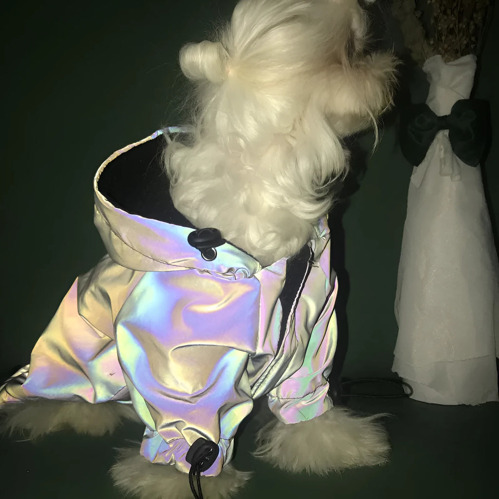 Black two-legged dog hoodie windbreaker with colour-changing effect, sizes XS to 5XL
