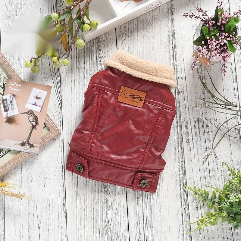 Red two-legged PU leather dog coat with fleece lining on a small dog