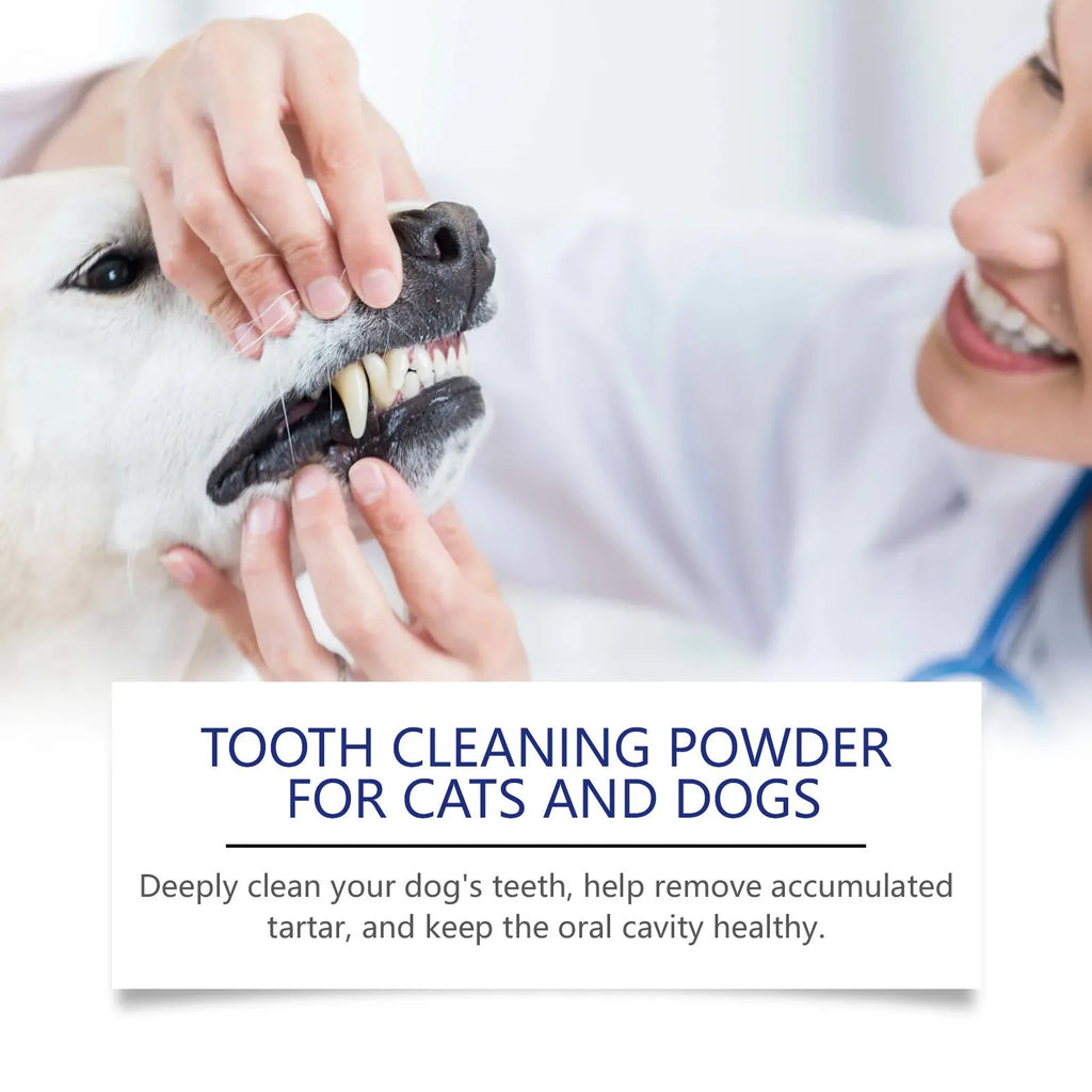 40g pet teeth cleaning powder in compact tub with green tea and peppermint extracts