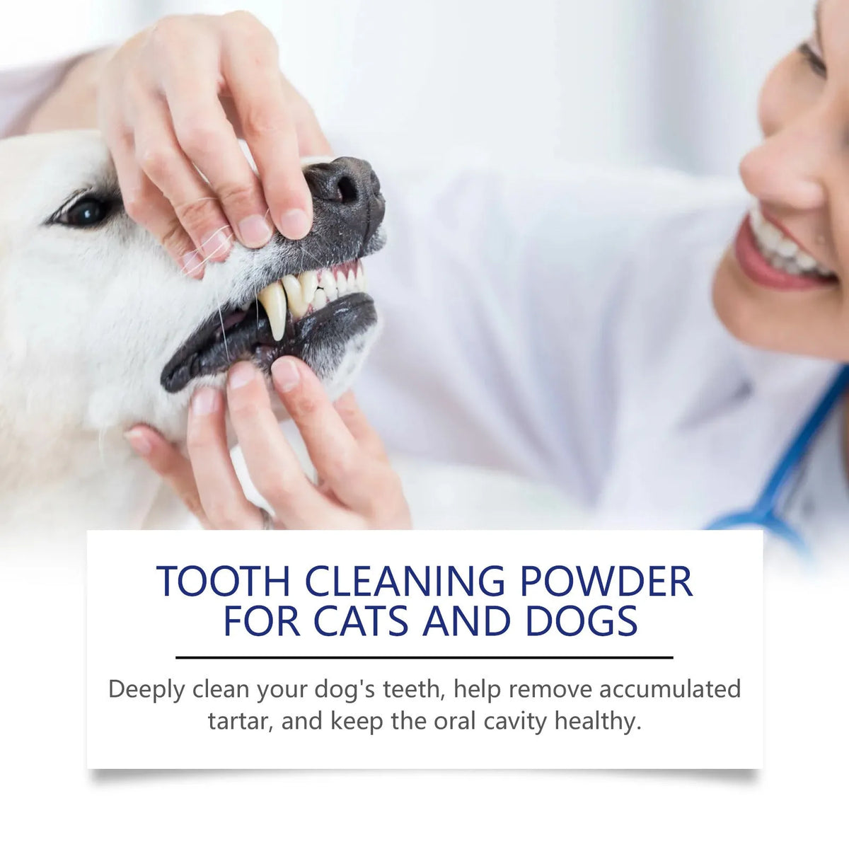 40g pet teeth cleaning powder in compact tub with green tea and peppermint extracts