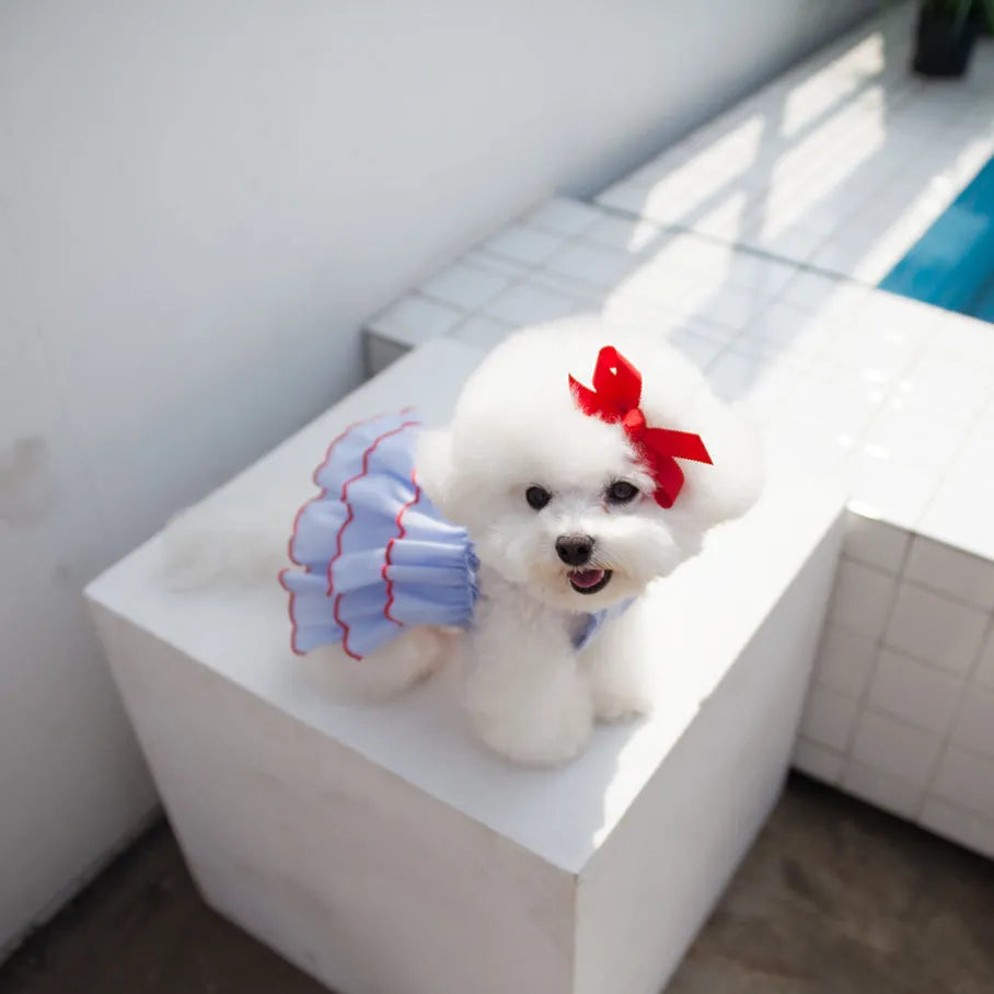 Thin polyester cartoon suspender skirt pet princess dress for small dogs summer wear