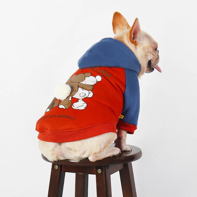 Red cotton dog coat for small and medium sized breeds like Teddy and Bichon on a mannequin