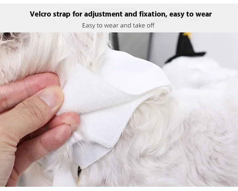 White pumpkin ghost Halloween costume for dogs, shown in viscose fibre material with S, M, L size options.