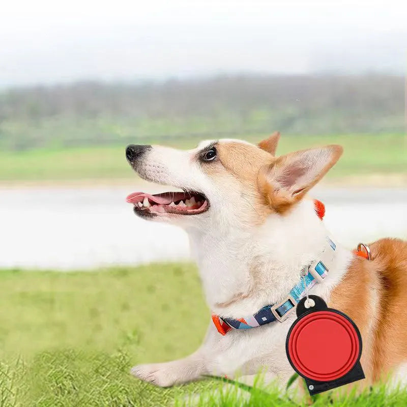 Blue folding silicone double pet bowl for dogs and cats, shown collapsed and unfolded.