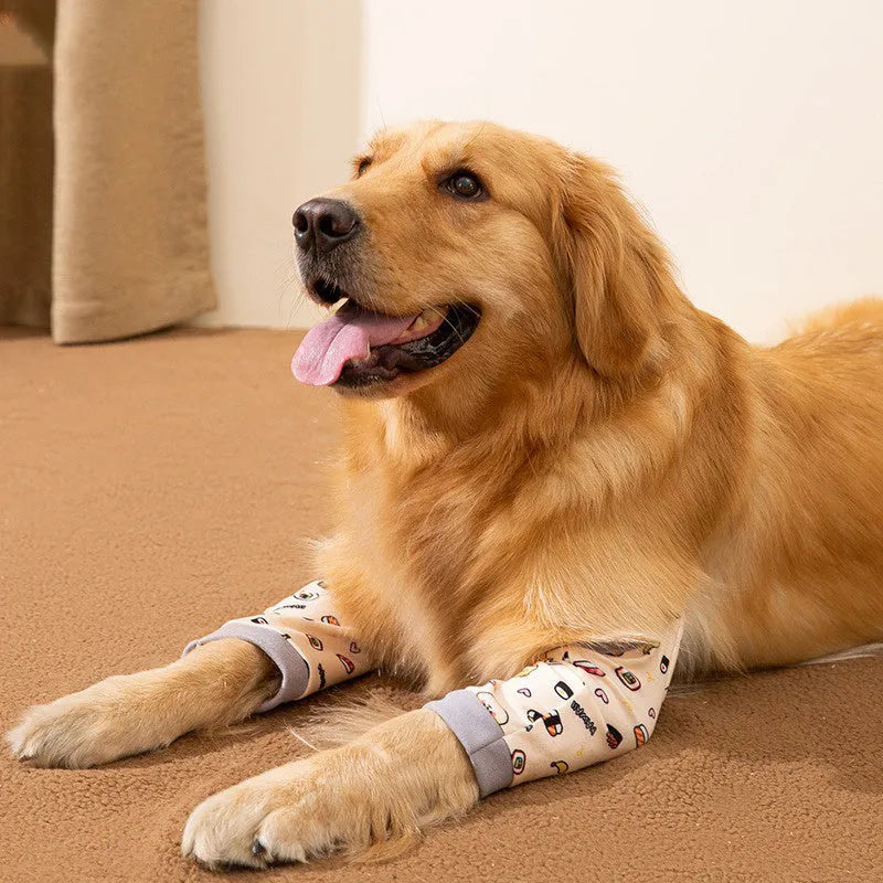 Blue dog knee protector sleeve with padded elbow patch and matching scarf, shown on a medium-sized dog