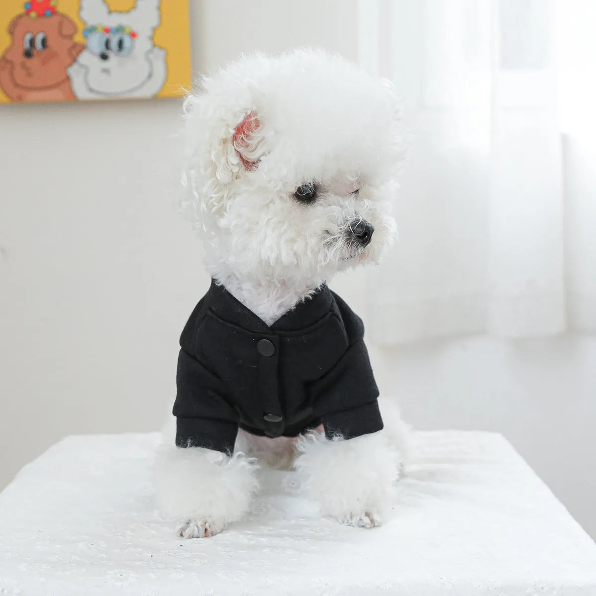 Casual knitted dog jumper in kiss sweater pattern on a model, showing sizing from XS to XL for small to large dogs.
