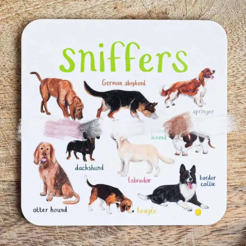 Set of six square PVC bird pun coasters with different bird chart designs on a table