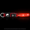 Waterproof LED pet luminous collar with nylon battery box for dogs and cats, available in multiple colours and sizes S M L