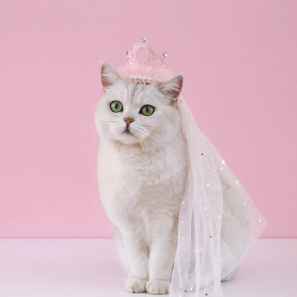 Princess crown headdress for cats on a beige or pink cotton polyester veil