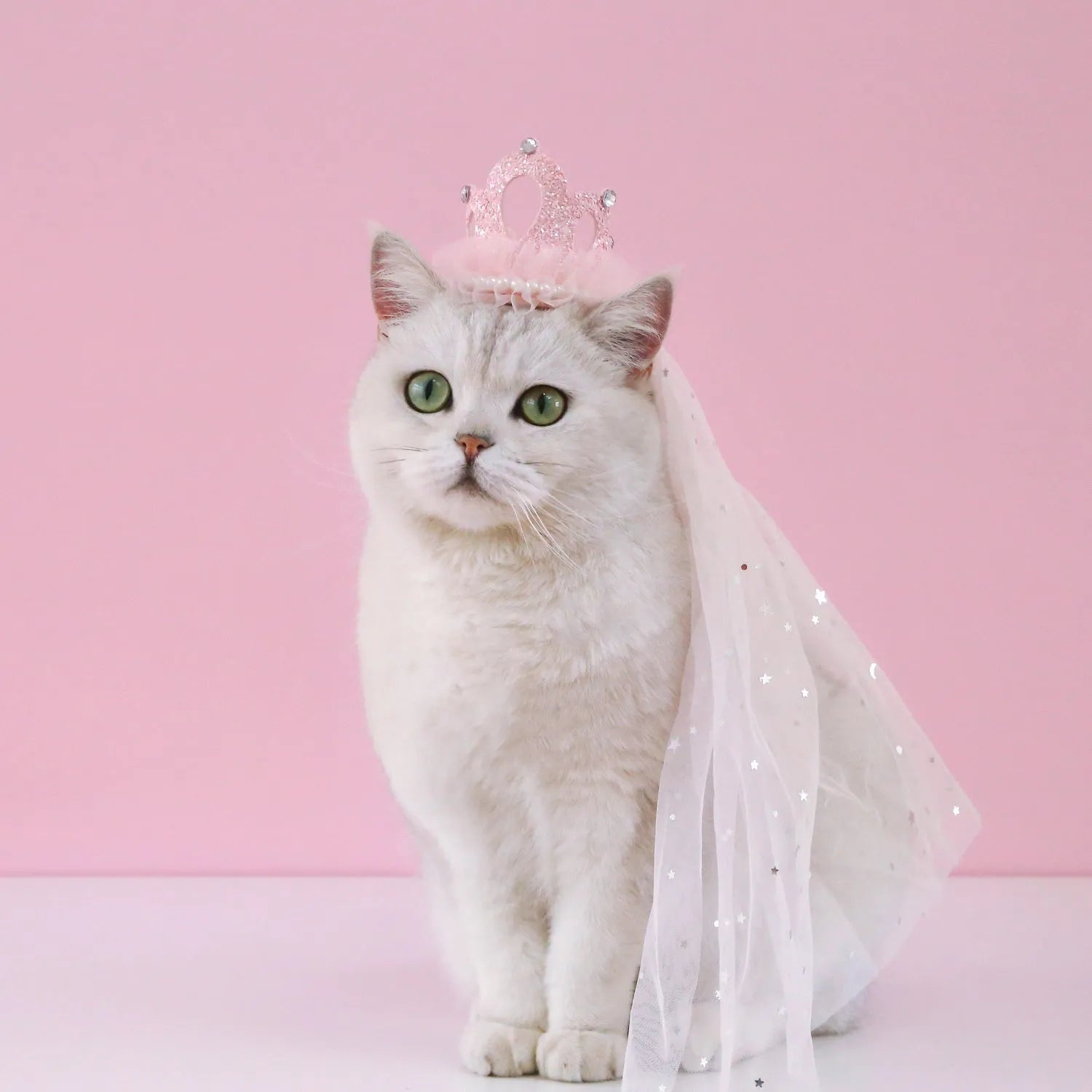 Princess crown headdress for cats on a beige or pink cotton polyester veil
