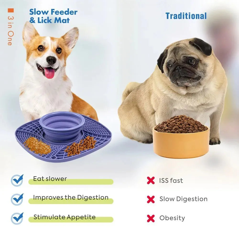 Pet dog slow feeder bowl with raised ridges and non-slip base in blue for small medium dogs