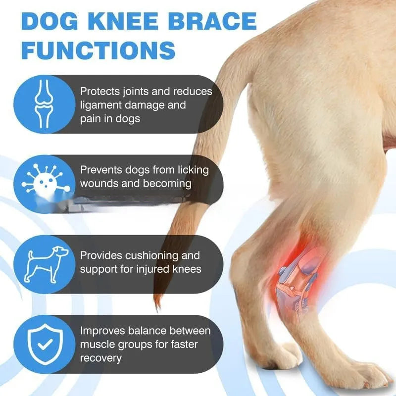 Black polyester dog joint support brace for ACL rehabilitation and joint dislocation protection