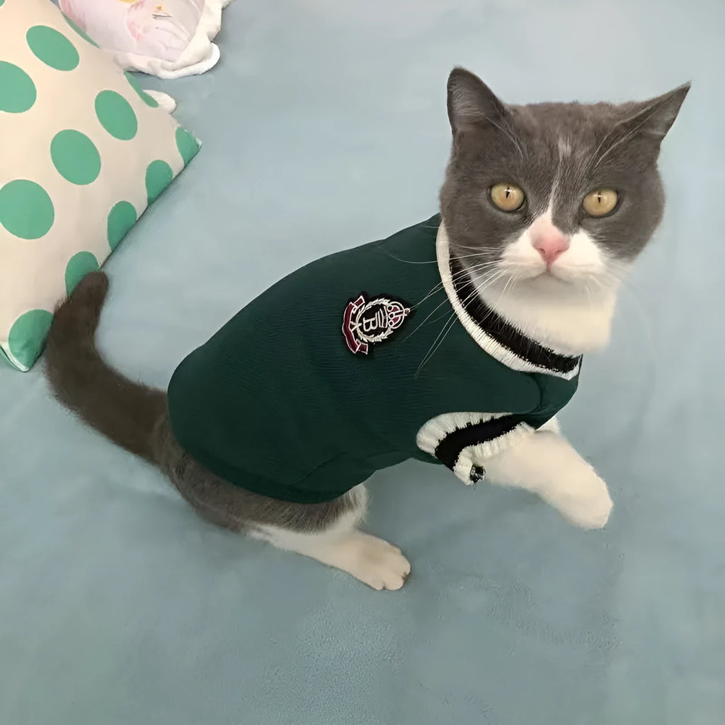 Silver gradient college style pet winter clothes shown in blue duck colour on size chart with weight ranges