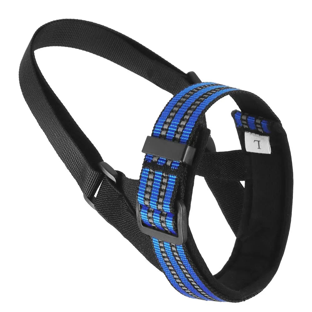 Adjustable reflective dog muzzle shown on a medium-sized dog, in blue colour.