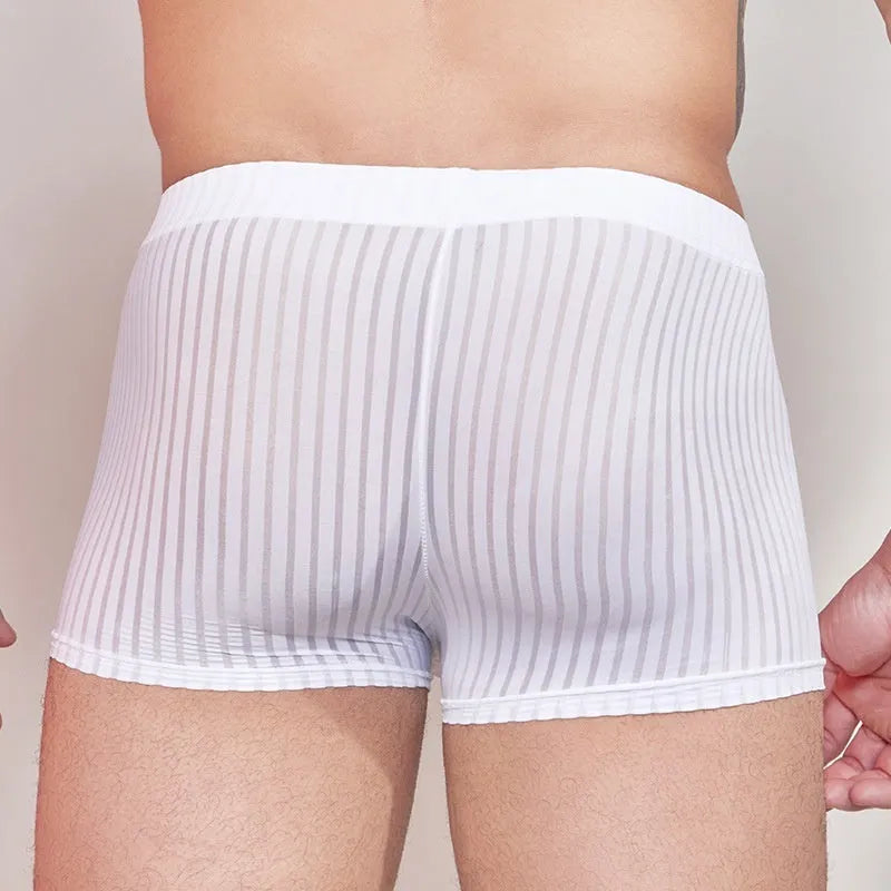 Men's striped low-rise underwear in thin transparent nylon, shown in black, dark grey, and white colours.