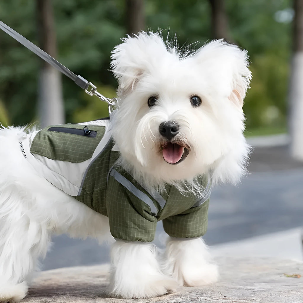 Khaki plaid and beige padded dog windbreaker with built-in leash ring and zipper pocket