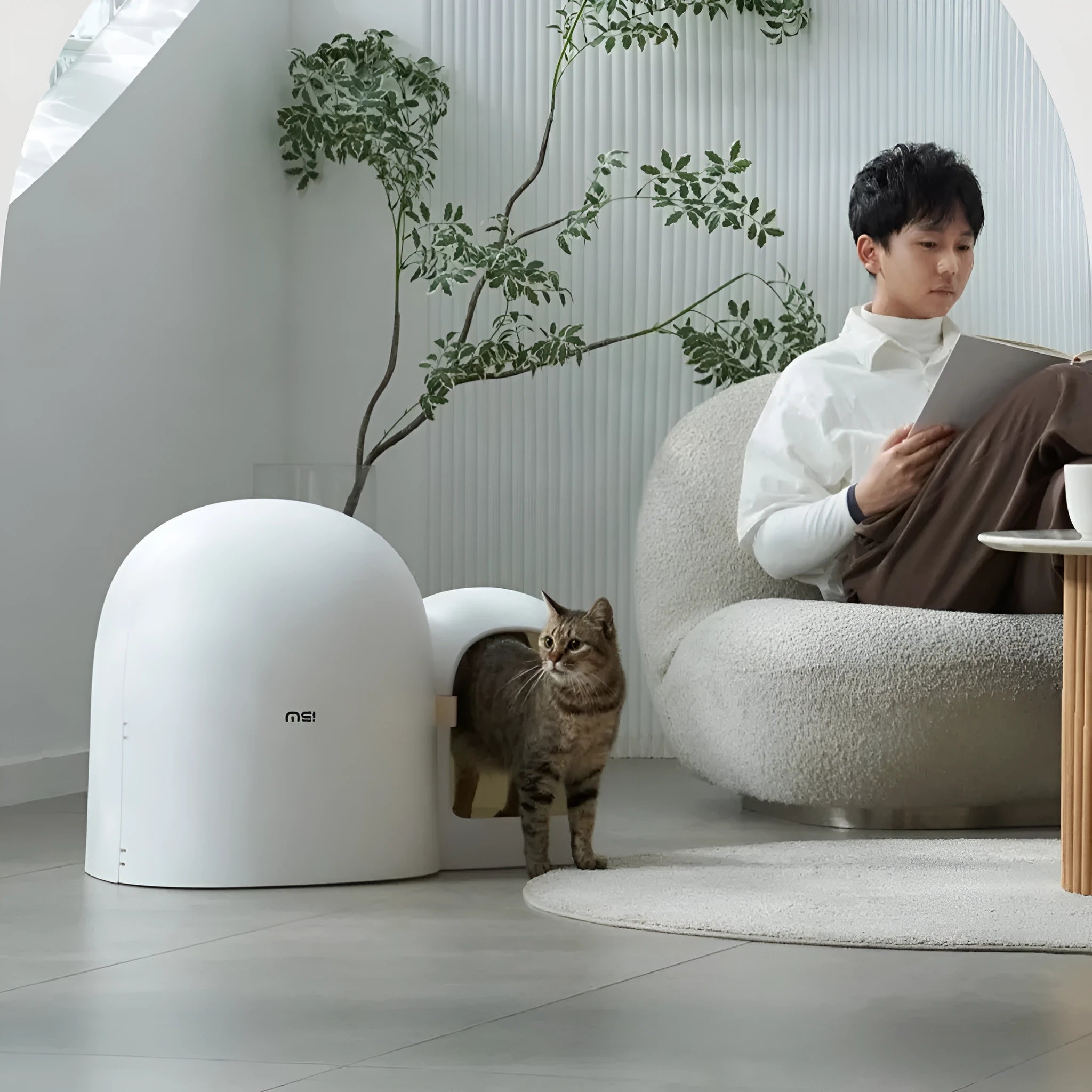 A fully enclosed, oversized cat litter box with a top-entry lid, shown in aurora white, moss green, and milk tea colour options.