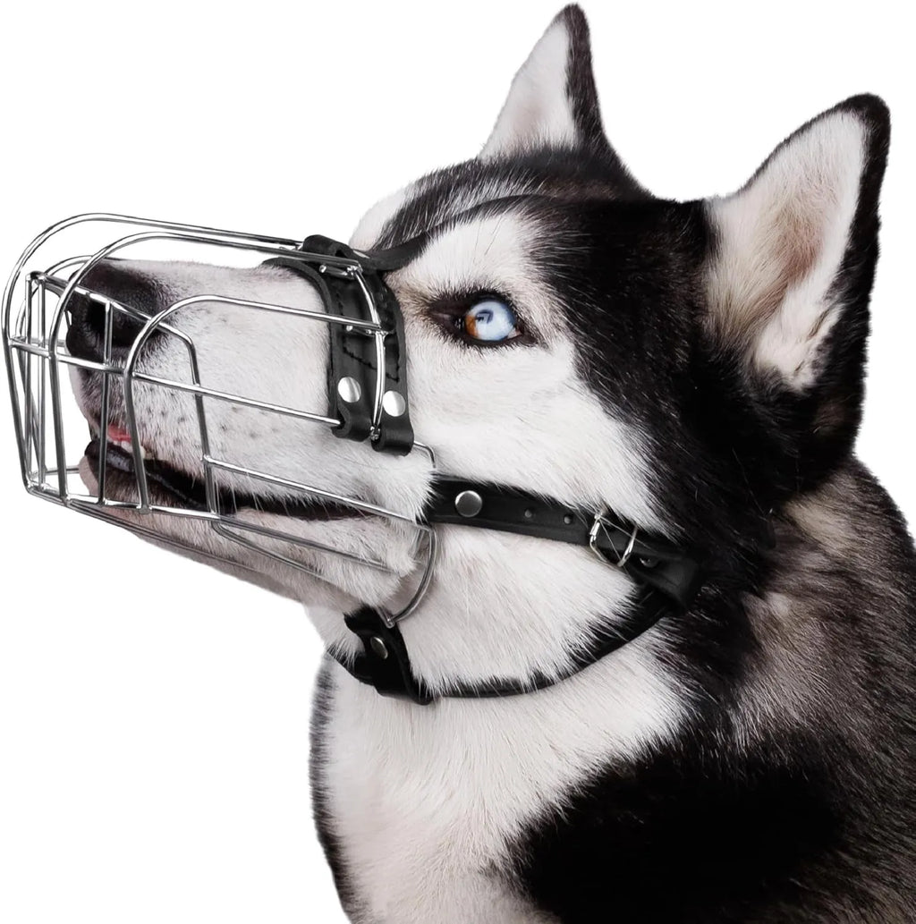 Black metal dog muzzle with adjustable straps, designed for Golden Retrievers and German Shepherds.