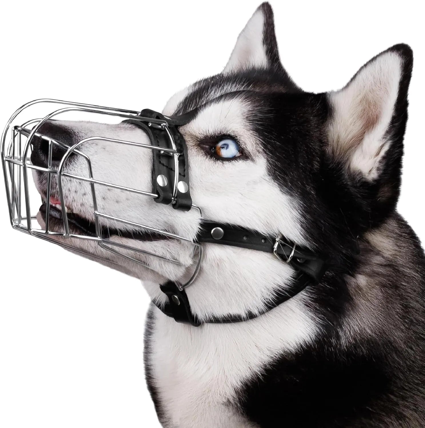 Black metal dog muzzle with adjustable straps, designed for Golden Retrievers and German Shepherds.