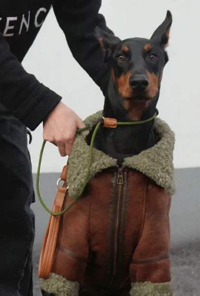 Winter velvet pet lapel leather coat for big dogs, denim fleece collar, sizes 4XL to 7XL