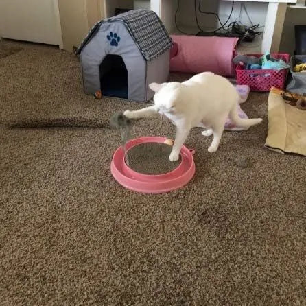 Blue cat scratcher toy with circular ball track and replaceable scratch pad