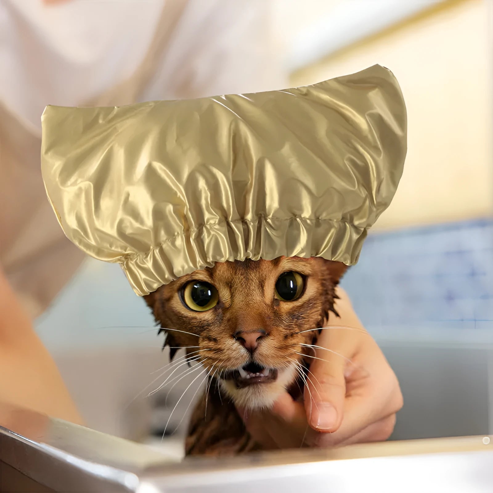 Silver adjustable pet shower cap for dogs and cats on a non-woven fabric background.