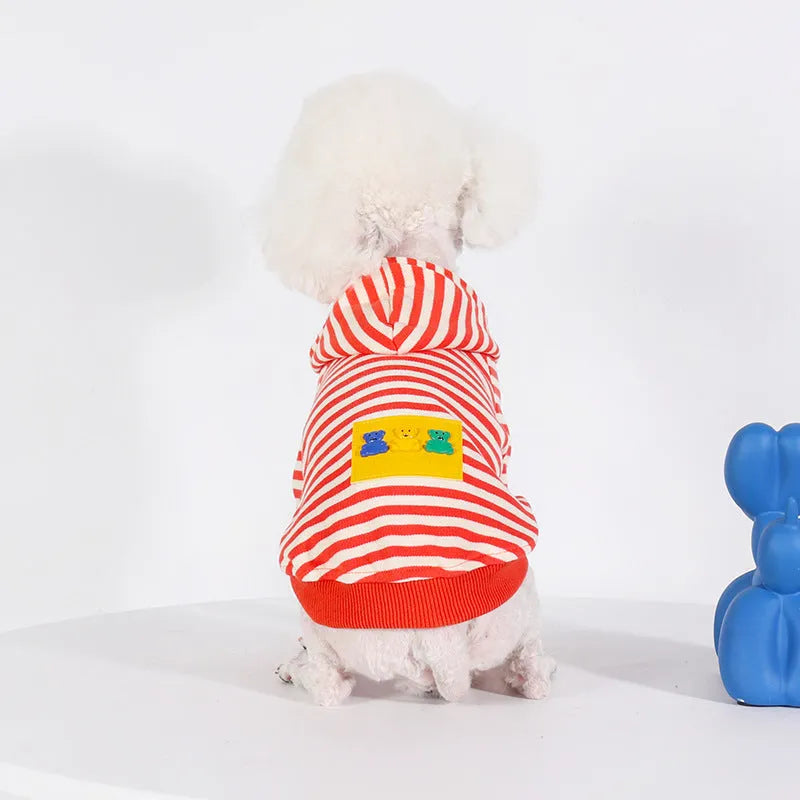 Orange cotton hooded sweater for a dog, showing Japanese Korean style on a mannequin.