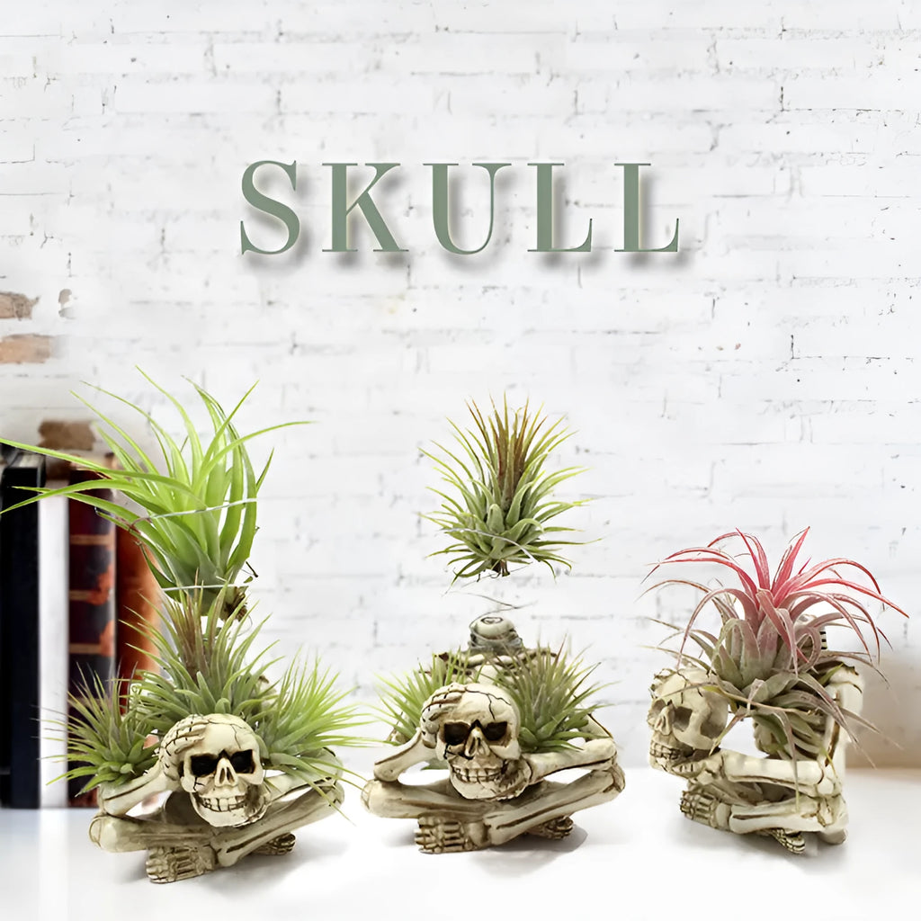 Gothic skull design resin Tillandsia bracket plant for soilless care with iron accents