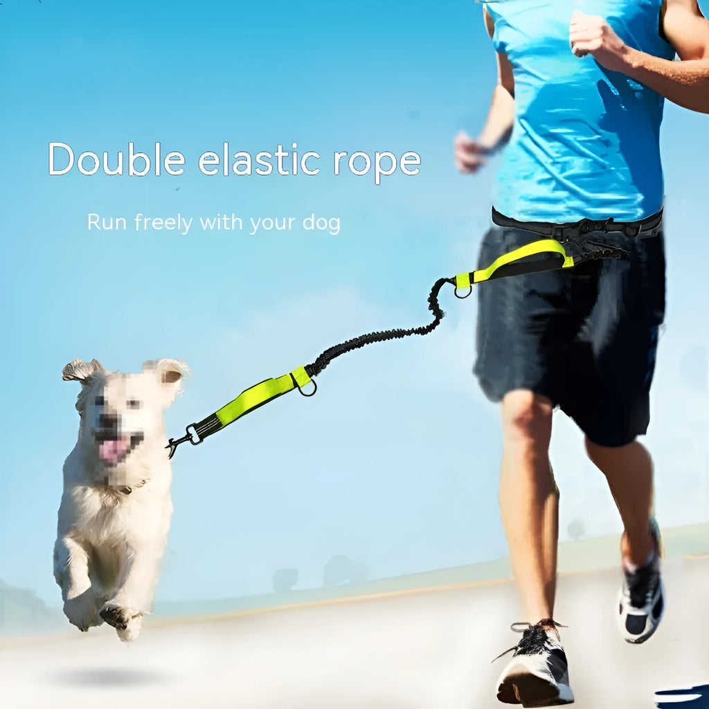 Adjustable polyester dog running belt with bungee lead in fluorescent green, shown attached to a waist.