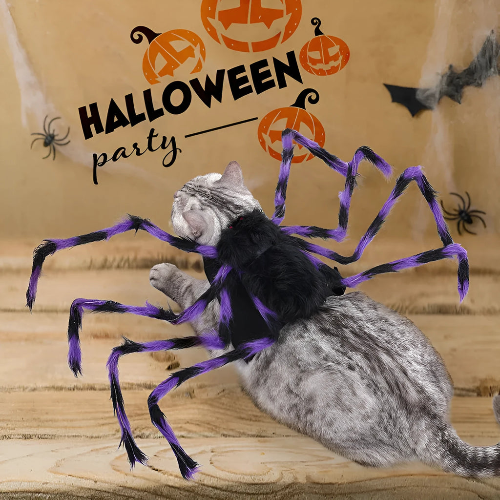 Grey and black spider costume on a dog for Halloween
