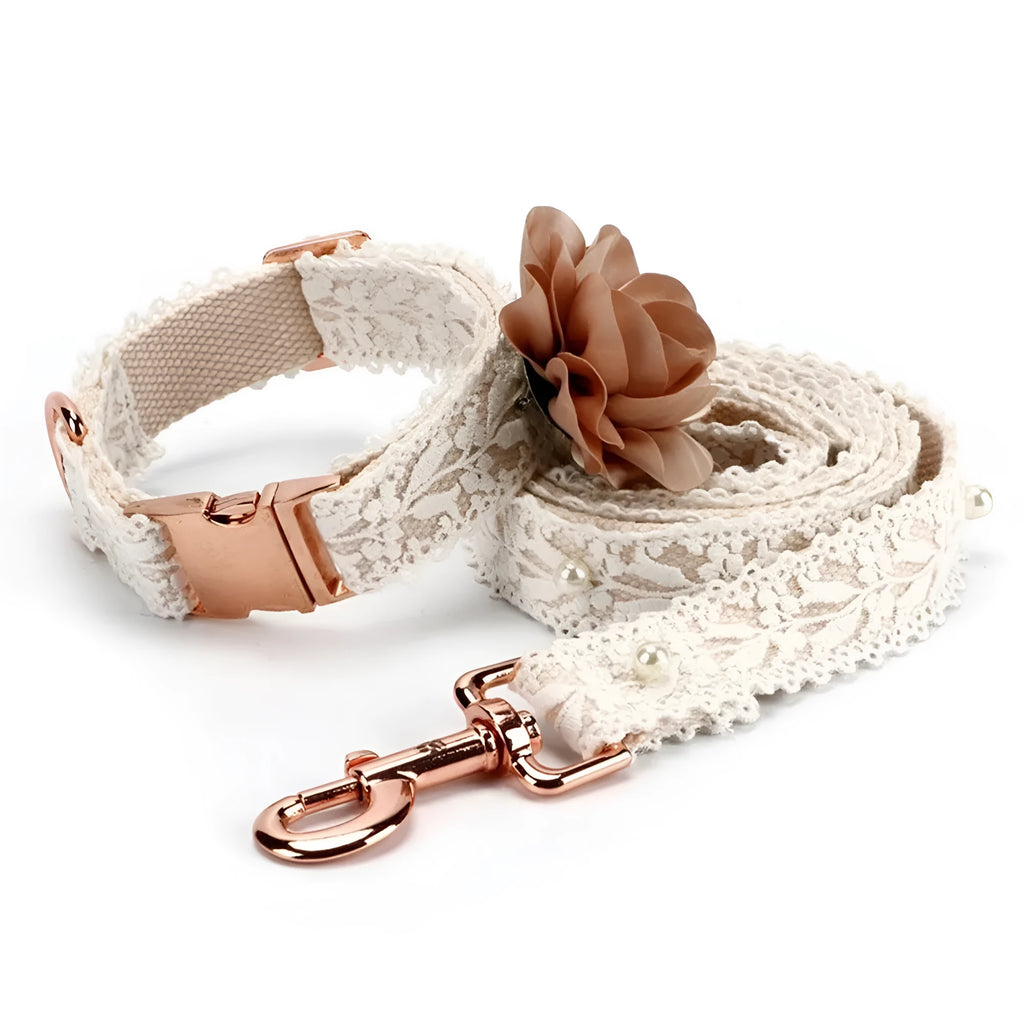 White lace flower polyester pet harness for cat or dog with towing rope, British style