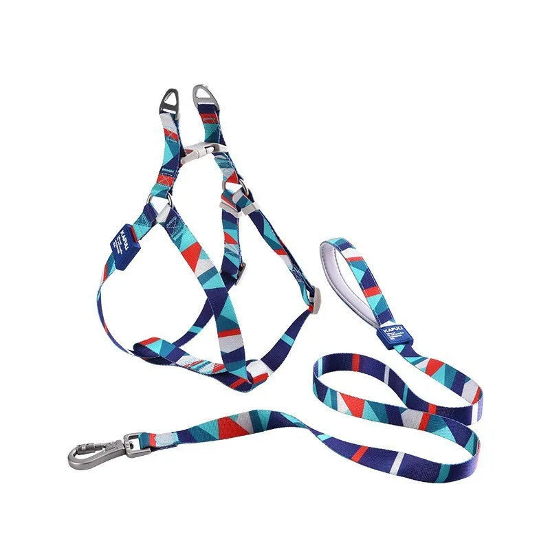 Blue adjustable dog harness and lead combo set shown on a model dog.