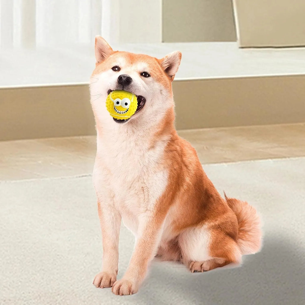 Latex face ball dog toy in green orange yellow colours with smiley design