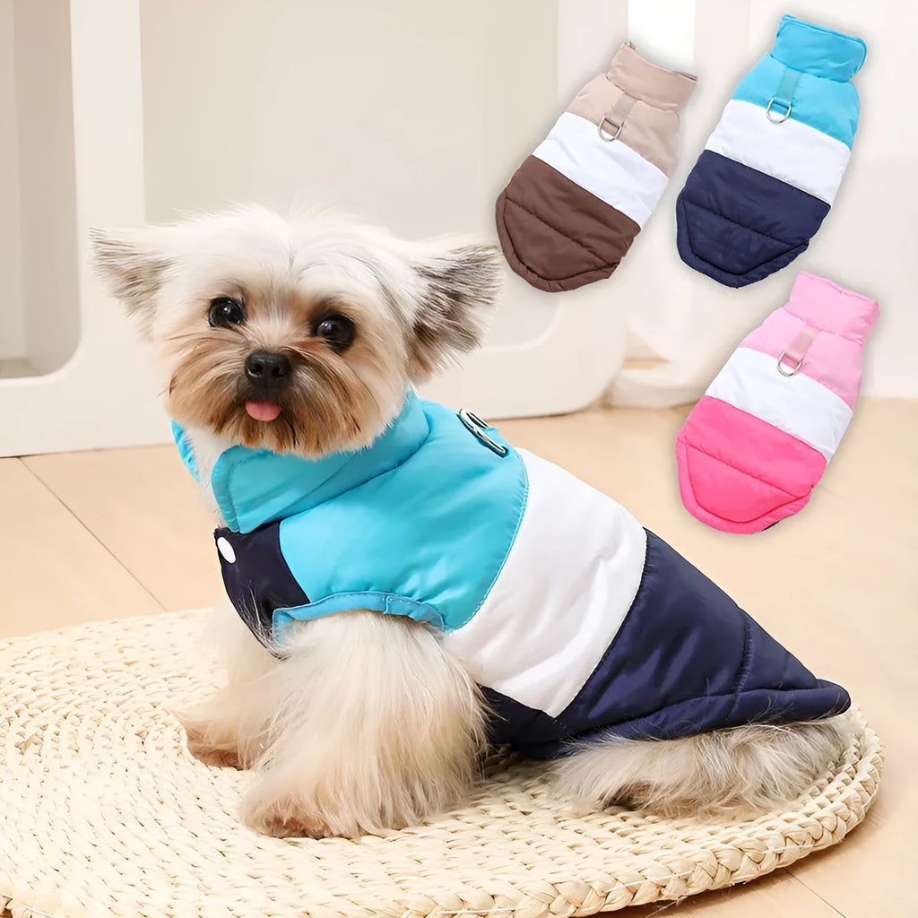 Dog autumn winter coat with attached leash in white and blue, polyester, sizes XS to XL