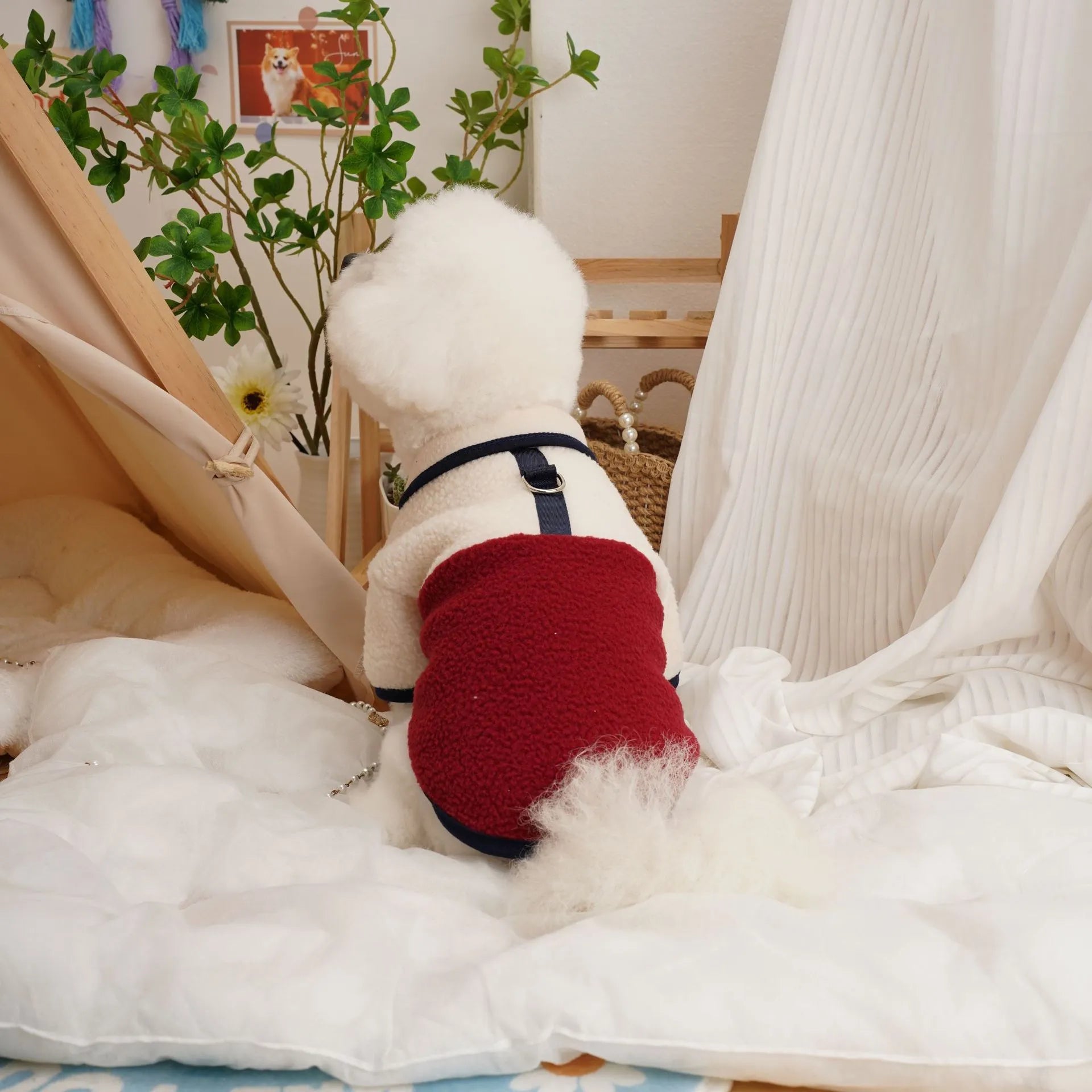 Pet wearing lambswool berber fleece sweatshirt in caramel colour for autumn winter warmth